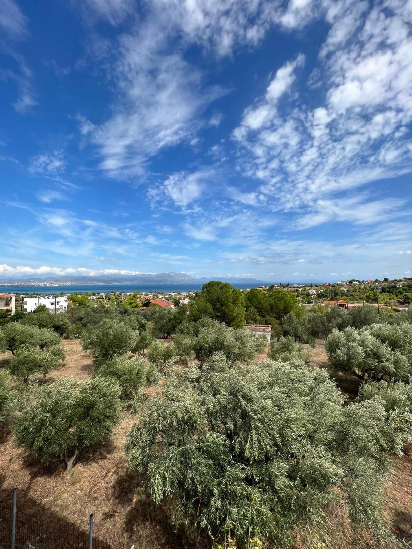 Вилла Xenia'S Seaview House Paralia Avlidhos Экстерьер фото